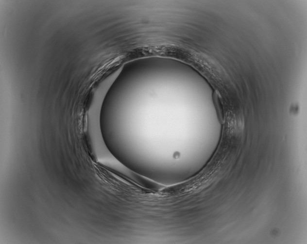 X0000098201060200805011141