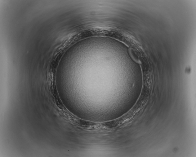 X0000098201061200805011141