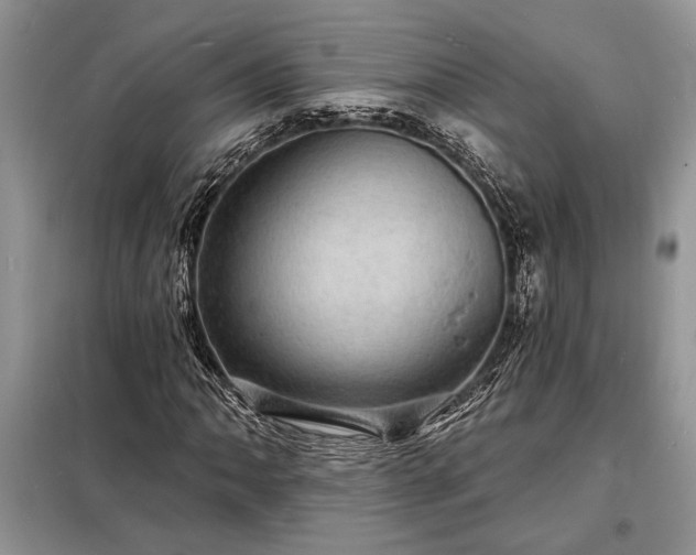 X0000098201062200805011141