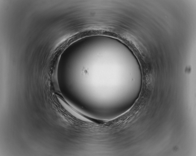 X0000098201064200805011141