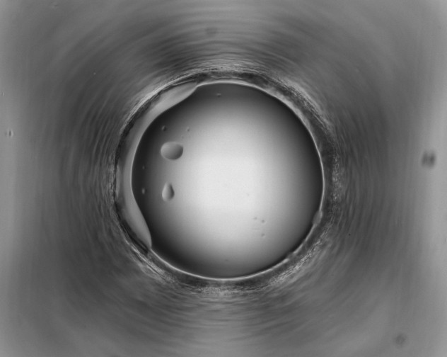 X0000098201065200805011141