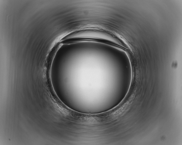 X0000098201066200805011141