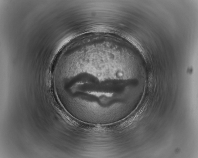 X0000098201067200805011141