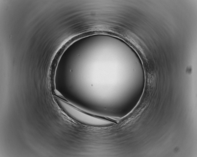 X0000098201068200805011141