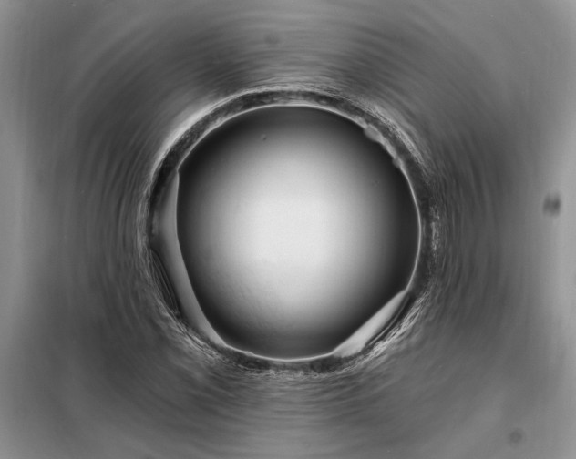 X0000098201069200805011141