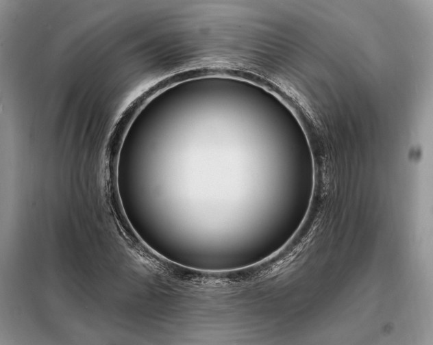 X0000098201070200805011141
