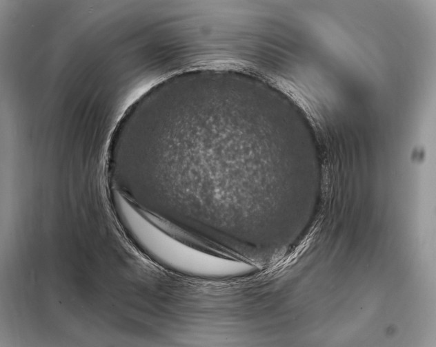 X0000098201071200805011141