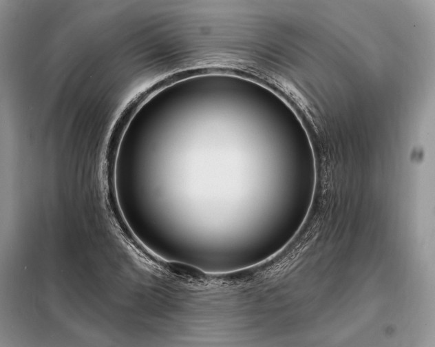 X0000098201072200805011141