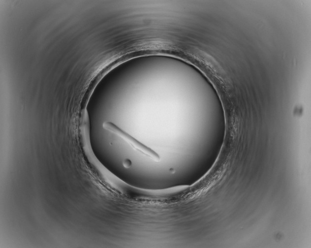 X0000098201073200805011141