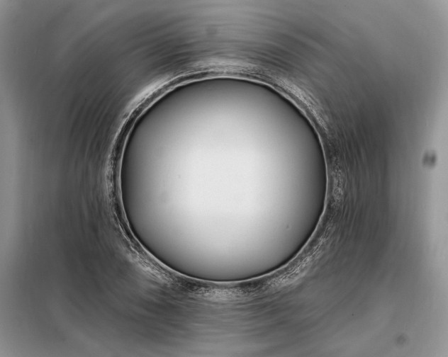 X0000098201074200805011141