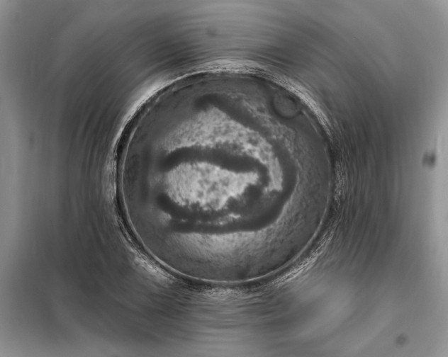 X0000098201075200805011141