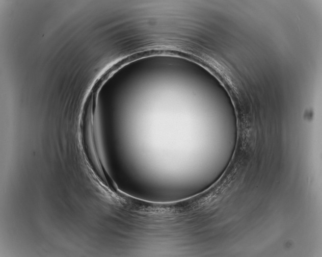 X0000098201076200805011141