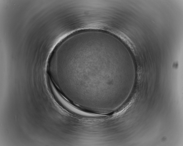 X0000098201077200805011141