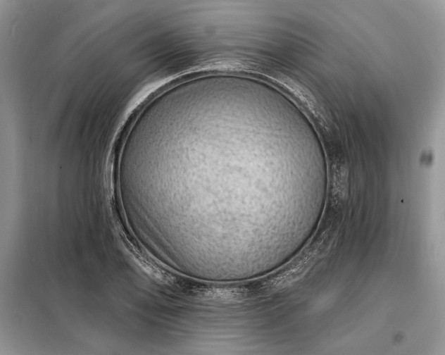 X0000098201078200805011141