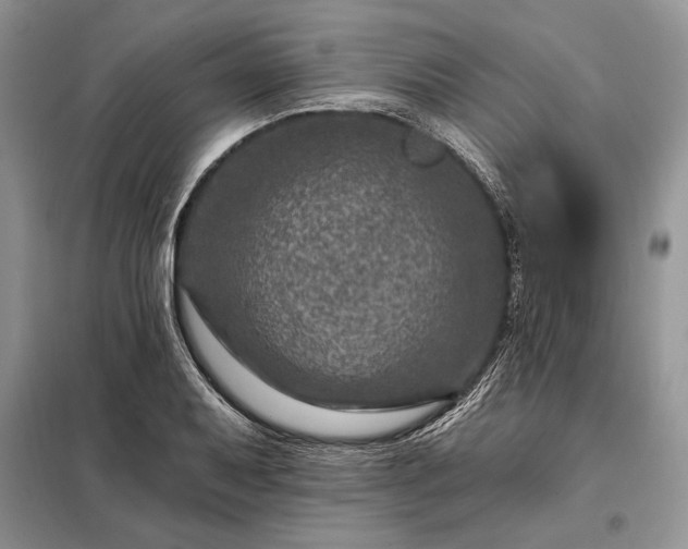 X0000098201079200805011141