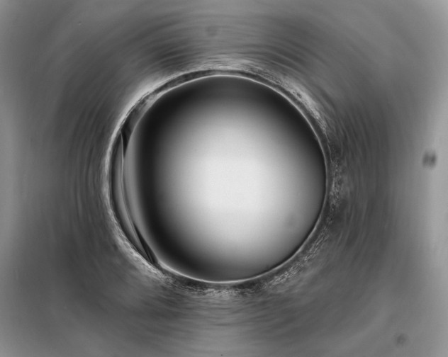 X0000098201080200805011141