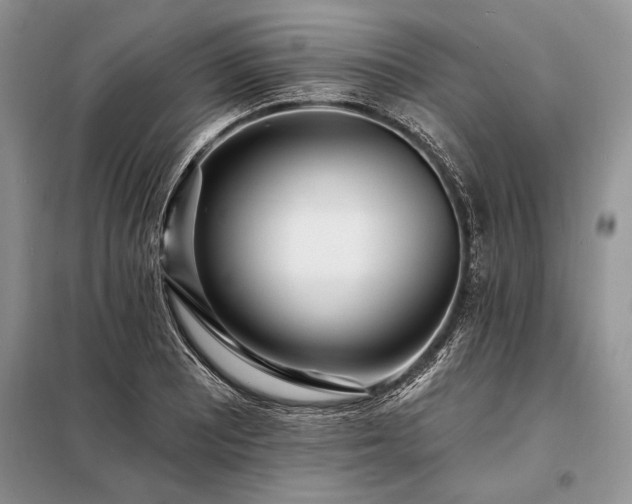X0000098201081200805011141