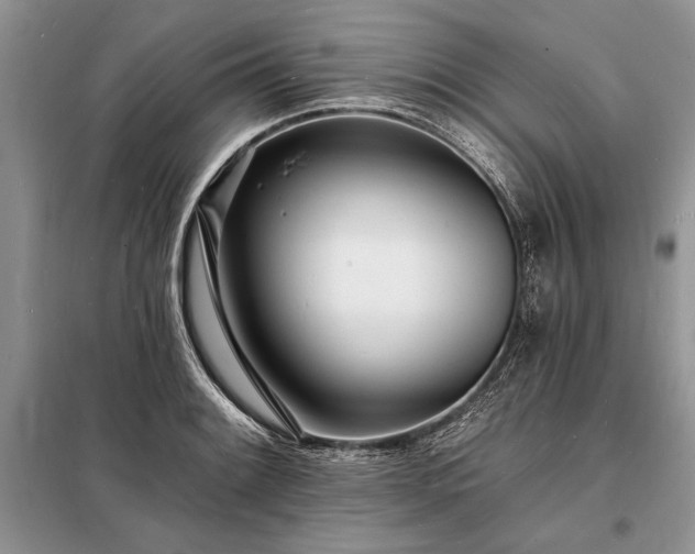 X0000098201084200805011141