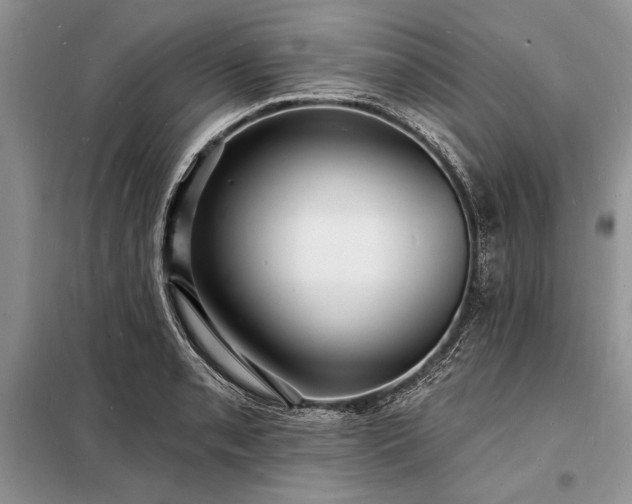 X0000098201085200805011141