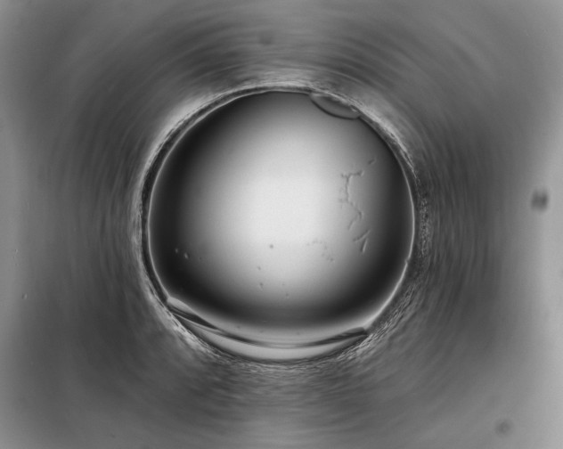 X0000098201088200805011141