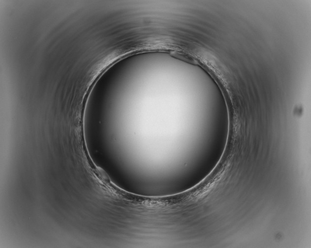 X0000098201089200805011141
