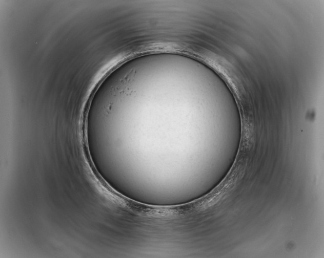 X0000098201090200805011141