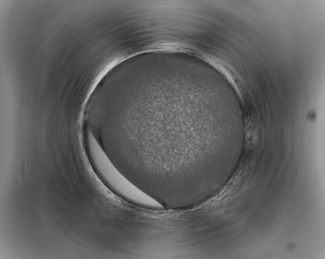 X0000098201091200805011141