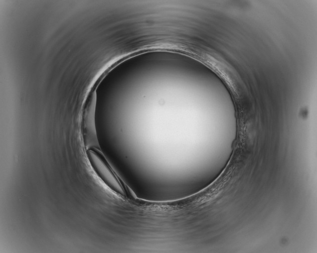 X0000098201092200805011141