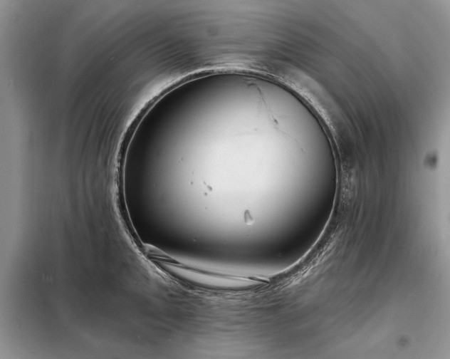 X0000098201093200805011141