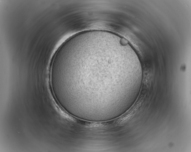 X0000098201094200805011141