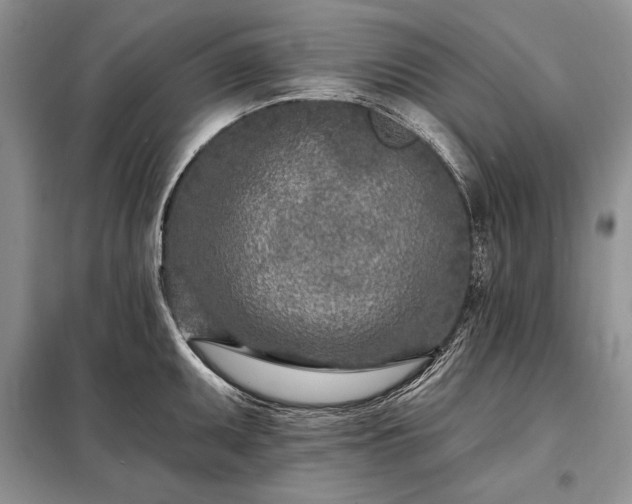 X0000098201095200805011141