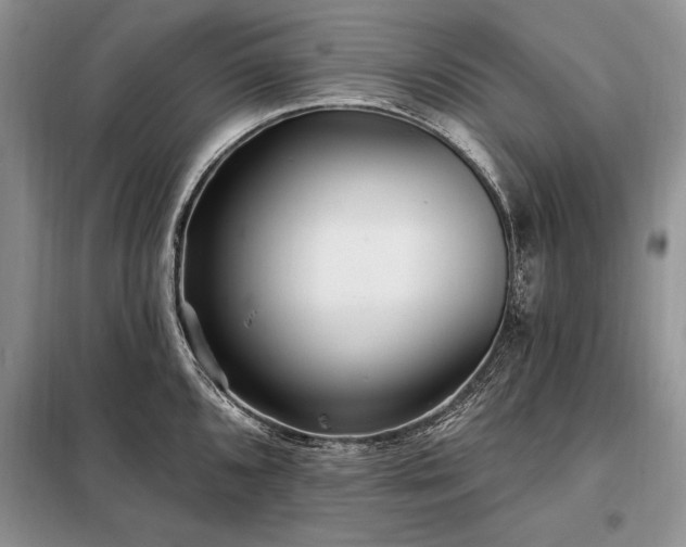 X0000098201096200805011141