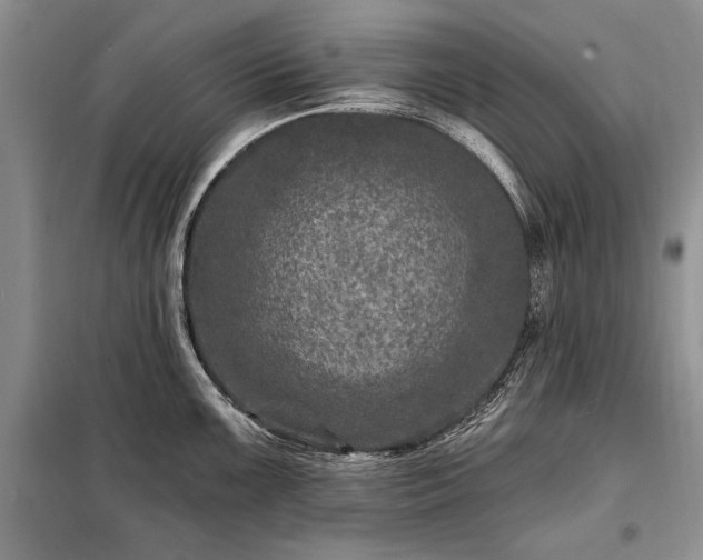 X0000098201099200805011141