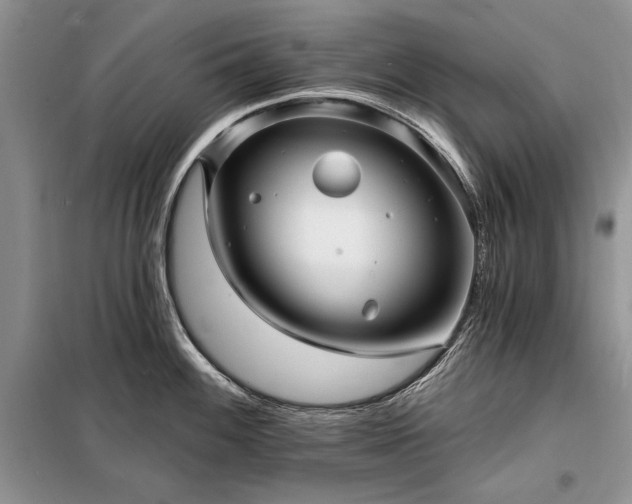X0000098201100200805011141