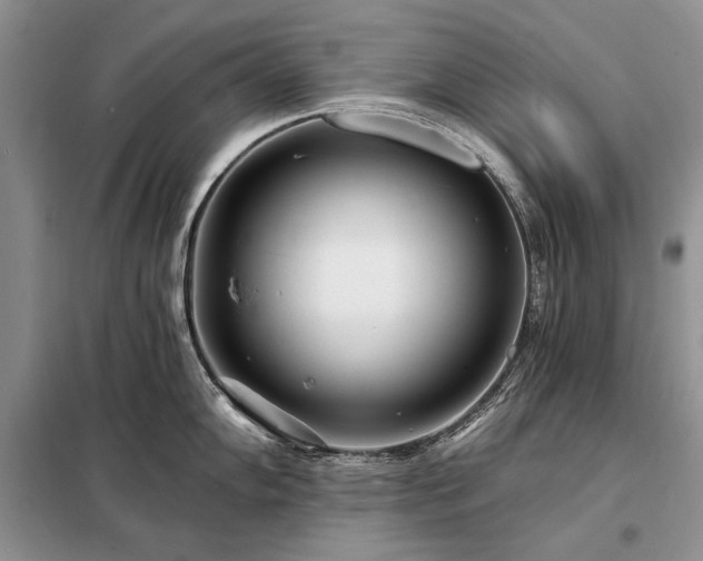 X0000098201102200805011141