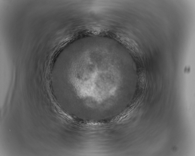X0000098201105200805011140