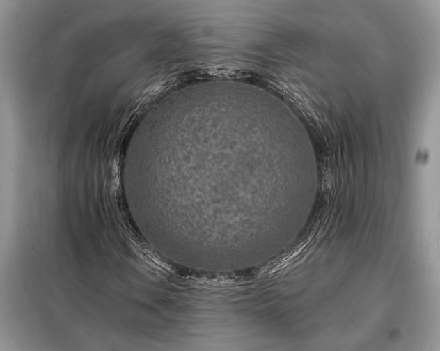 X0000098201106200805011140