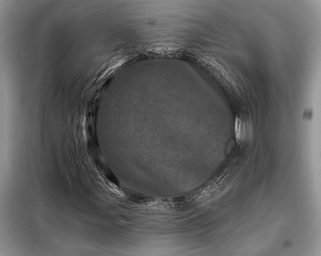 X0000098201107200805011140