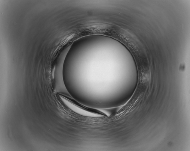 X0000098201108200805011140
