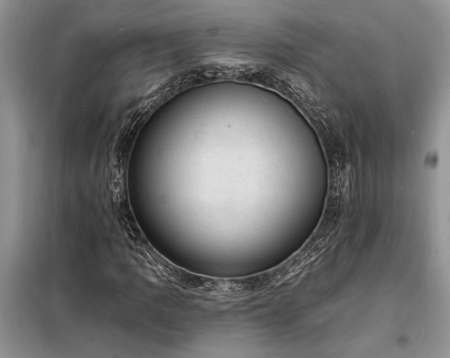 X0000098201109200805011140