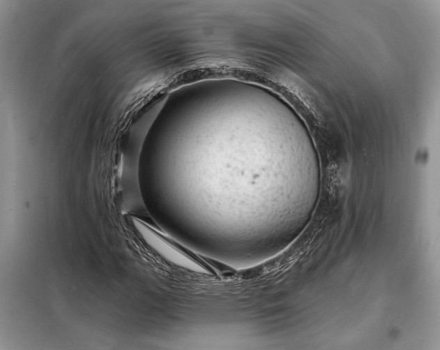 X0000098201111200805011140