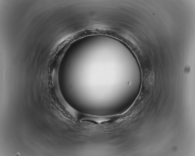 X0000098201112200805011140