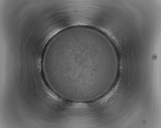 X0000098201113200805011140