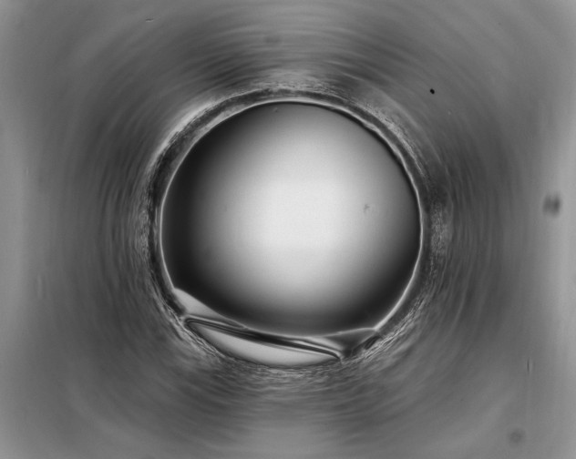 X0000098201115200805011140