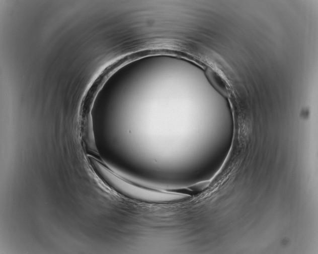 X0000098201116200805011140