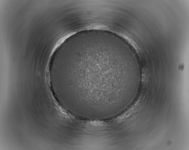 X0000098201117200805011140