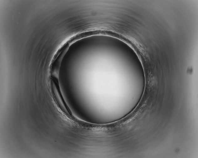 X0000098201118200805011140