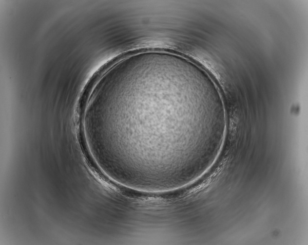 X0000098201119200805011140
