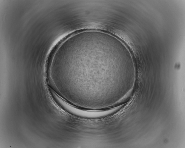 X0000098201120200805011140