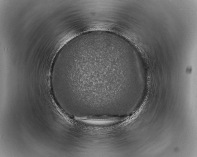X0000098201121200805011140